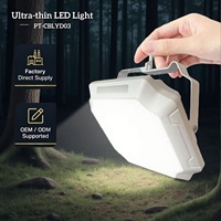 Lampe de camping LED OTHC PT-CBLYD03, fabrication directe OEM/ODM, batterie au lithium remplaçable, multifonctionnelle, rechargeable, étanche