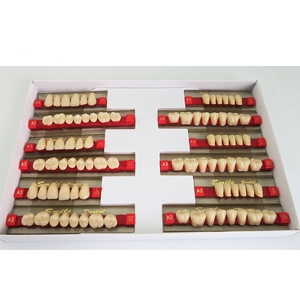 Denti in Resina Sintetica a 3 Strati Denti Finti Acrilici per Protesi Dentale Completa - Product Image 4