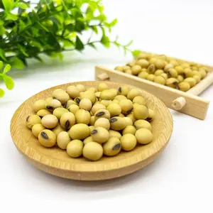 Grains <span class=keywords><strong>de</strong></span> <span class=keywords><strong>soja</strong></span> crus <span class=keywords><strong>de</strong></span> haute qualité, en sachet, graines <span class=keywords><strong>de</strong></span> <span class=keywords><strong>soja</strong></span> en vrac biologique pour aliments - Product Image 1