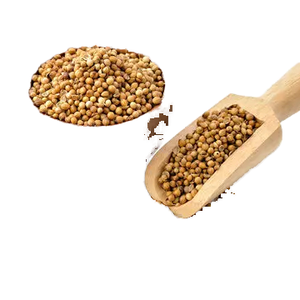Semillas de Cilantro Enteras de Primera Calidad, Especia Natural Dhania, Ingrediente Culinario Aromático para Cocina India, Grado Alimenticio - Product Image 1