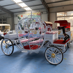 Voiture électrique de princesse de haute qualité, chariot de chevaux pour mariage ou tourisme, véhicule de transport spécial - Product Image 3