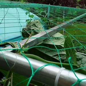 Red de Nailon Verde Resistente a los Rayos UV, Anti-Granizo, para Soporte de Enredaderas en Jardín y Protección de Frutas como Pepinos NETE - Product Image 3