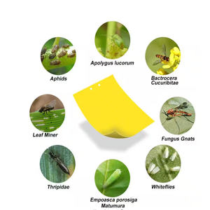 10*20CM beidseitige gelbe klebrige Mücken fallen Innen-und Außen wasserdichte Mücken Klebrige Papier falle Sprüh klebe bretter - Product Image 3