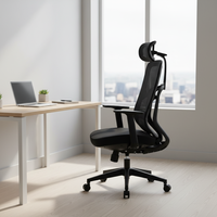 Chaise ergonomique pour bureau, chaise de direction, chaise de bureau en maille, silla de oficina, pivotante, réglable, chaise de bureau en maille