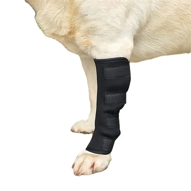 Chaussette de récupération pour chirurgie articulaire, accessoire pour animaux domestiques, vente en gros, manches, jambes, protection pour le genou, pour chien