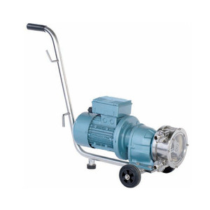 Bomba de tornillo excéntrico Kiesel Sp de 3 HP con conexión de brida eléctrica, descarga de 1 pulgada, presión máxima de 0.1 a 10 bar. - Product Image 3