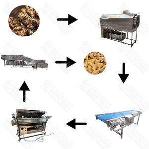 Équipement de lavage et de pelage continu automatique motorisé pour légumes et fruits, destiné aux usines ou lignes de transformation alimentaire - Product Image 6