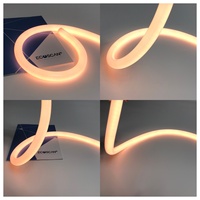 Flexible 360 °   Tube néon LED 3D flexible, étanche IP67, 24V, pour intérieur, extérieur, bar, maison, café, cinéma, tube lumineux flexible LED