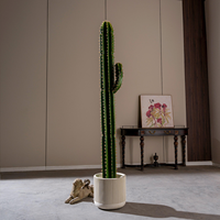Plante artificielle de cactus de grande taille avec garantie de 10 ans pour l'affichage en intérieur et la décoration de la maison, style tropical bonsai