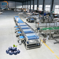 Máquina Clasificadora de Frutas y Verduras Azul Marca KEHONG 40001100900, Dimensiones 200KG de Peso