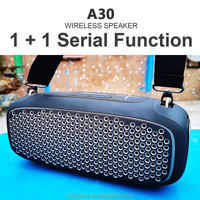 Altavoz Inalámbrico Hopestar A30 PRO 55W con Bluetooth, Resistente al Agua IPX6, Radiador Pasivo, Micrófono Inalámbrico, TWS, TF, USB, AUX, FM, para Fiestas al Aire Libre