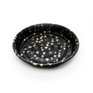 Disposable Plastic Food Sushi Party Tray with Lid