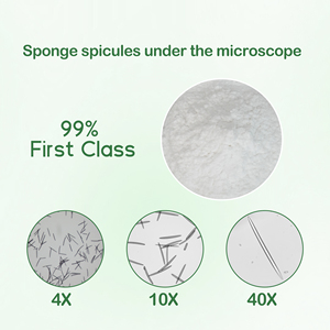 Espículas de Esponja SQT de Spongilla Lacustris para Uso Cosmético, Polvo Puro Natural Hidrolizado, Algas Exfoliantes de Esponja - Product Image 3