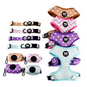 Haustiergeschirr-Lieferant OEM Kundenspezifische Farbe Polyester Hundegeschirr Verstellbar Schmutzabweisend Spezialmaterial 6-teiliges Haustiergeschirr-Set - Product Image 2