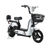 Vélo Électrique Urbain avec Moteur Arrière 48V, Cadre en Acier Carbone, Capteur de Portée, Commande Vocale, Deux Places avec Panier de Rangement