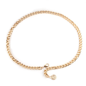 สร้อยคาดเอวเหรียญทองคำประดับพู่โลหะผสมสังกะสี สไตล์ฮิปฮอป สำหรับงานปาร์ตี้ เครื่องประดับแฟชั่น - Product Image 4