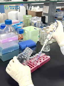 ผงไดนิวคลีโอไทด์ไดนิวคลีโอไทด์99% NAD + Nicotinamide adenide CAS 98-92-0 - Product Image 4