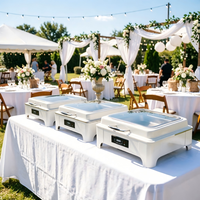 Chauffe-Plat Électrique 9L pour Buffet d'Hôtel, Plat de Présentation en Acier Inoxydable Noir pour Mariages et Banquets de Noël