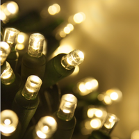 Guirlandes lumineuses LED miniatures UL 5MM à angle large concave pour Noël avec prises coaxiales US/Canada