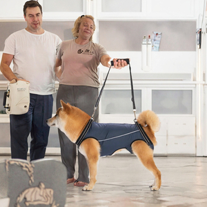 Arnés de Soporte Completo para Perros, Traje de Recuperación Postquirúrgica para Mascotas (Macho y Hembra), Asistencia Ajustable para Caminar, ¡En Stock al por Mayor! - Product Image 6