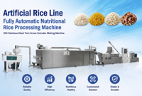 Extrudeuse automatique de riz artificiel à double vis en acier inoxydable haute capacité pour ligne de production de riz nutritionnel et riz fortifié