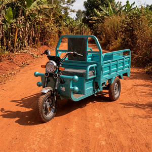 Tricycle électrique <span class=keywords><strong>de</strong></span> fret à usage standard personnalisé, directement <span class=keywords><strong>de</strong></span> l'usine, 1200W PMSM, véhicule à 3 roues pour le <span class=keywords><strong>transport</strong></span> logistique urbain - Product Image 1