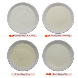 Novenzyme Suministra Péptido de Colágeno de Pescado Hidrolizado en Polvo - Product Image 2