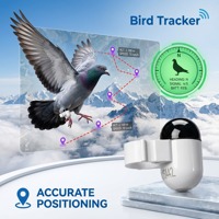 Anillo GPS de Entrenamiento para Mini Raptor, 2.2g Ultraligero, Vuelo Seguro, Rastreo en Tiempo Real