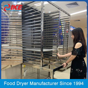 WRH-300GB Trái Cây Và Rau Quả Khô Máy Cá Dứa Bơ Dehydrator Giá Máy - Product Image 6