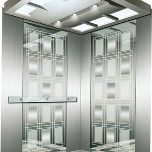 Ascensor Residencial a Medida de Fabricante Chino: Elevador de Plataforma con Panorámicas Impresionantes y Ahorro de Espacio - Product Image 5