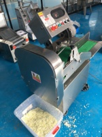Nieuwe elektrische multifunctionele roestvrijstalen groente- en fruitsnijmachine, wortelsnijder, aardappelsnijmachine