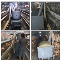 Chariot automatique pour animaux, cage à batterie, distributeur de nourriture pour volailles, chariot pour élevage de poulets, équipement avec construction en acier