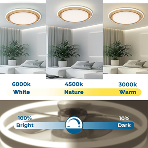 <span class=keywords><strong>Ventilador</strong></span> de Techo LED Moderno y Silencioso de 20 Pulgadas con Luz, para Decorar Habitaciones de Hotel, Lámpara de Techo LED Inteligente con Control Remoto - Product Image 5
