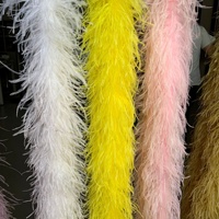Bandes de plumes d'autruche naturelles, boa 5 couches épaissies, teintes, pour robes de performance, costumes de mariage, accessoires de vêtements DIY