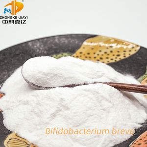 Pediococcus acidilactici高活性食品グレードプロバイオティクス粉末 - Product Image 2