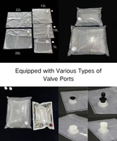 Distributeur de liquides de 1L à 220L, sac BIB (Bag in Box) avec valve aseptique, pour pâte de tomate, vin, huile, jus de pomme, jus de mangue, lait, boisson