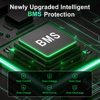 Baterai LiFePO4 12V 100Ah dengan BMS 100A Terintegrasi, 10000 Siklus, Dapat Diisi Ulang, Tingkat Pengosongan 1C, untuk RV, Motor Trolling Kapal, Penyimpanan Energi Surya