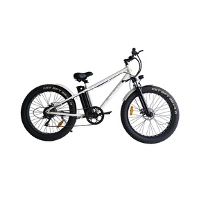 Bicicleta Eléctrica Económica de 26 Pulgadas y 250w con Certificación CE, Neumáticos Anchos para Playa y Nieve, Cuadro de Acero, Modelo BN-FM01A/BN-FM01S - Product Image 5
