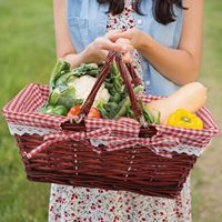 Panier-cadeau de pique-nique d'extérieur avec doublure en tissu gingham, panier de rangement en saule tressé avec deux poignées pour fruits, collations et décoration de fête