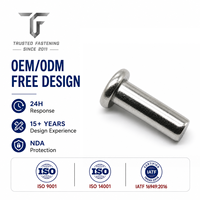 Rivets plats en acier TianFang pour les caches de refroidissement de générateurs, finition oxyde noir, fabriqués sur commande avec une approvisionnement stable par lots