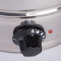 Chauffe-eau électrique commercial en acier inoxydable de 20 L et chauffe-vin/thé avec tube chauffant