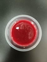 Confiture de fruits Fraise Fruit de la Passion Kiwi Banane Ananas Pomme Litchi Aubépine Raisin Vert Framboise Baie de la Baie 900g/boîte 12 Mois