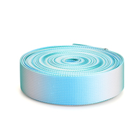 Nouveauté 2025 : Sangles en sergé imprimé 100 % polyester, couleur unie, échantillons disponibles, qualité supérieure