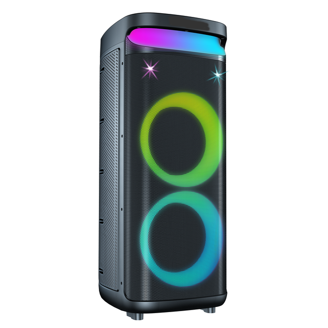 Double 10 Inch Trolley Speaker with LED Light for Home Party, Karaoke