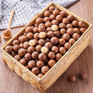 Vente en gros professionnelle 500g noix de <span class=keywords><strong>macadamia</strong></span> sèches crues <span class=keywords><strong>macadamia</strong></span> <span class=keywords><strong>macadamia</strong></span> grillées <span class=keywords><strong>macadamia</strong></span> salée - Product Image 5