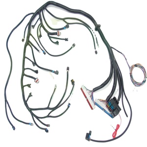 97 - '02 LS1 (DBC) Với Đầu Phun T56 W/ EV1 Dây Nối Dây Độc Lập MAF 3 Chân - Product Image 1