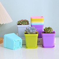Mini pot carré épaissi coloré pour petites fleurs, pot à succulentes, pot en plastique, pot à semis – Vente en gros fabricant