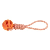 Ensemble de jouets à mâcher pour chiens et chats en caoutchouc écologique - Design de dessin animé, corde de traction, alimentation lente, entraînement interactif, durable