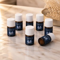 Huile parfumée synthétique sans alcool pour vin chaud, concentrée, aux notes épicées, fruitées, boisées et gourmandes, pour usage industriel et diffuseur d'arômes domestique, matière première