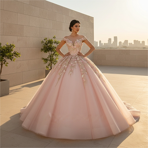 Robe de mariée rose en dentelle perlée, style robe de bal, brodée, avec longue traîne, sans bretelles, Dy1372 - Product Image 1
